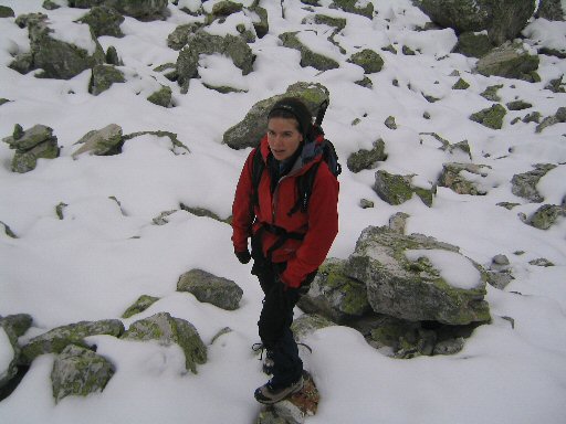 Aiguille Grive (17).jpg - Lo.